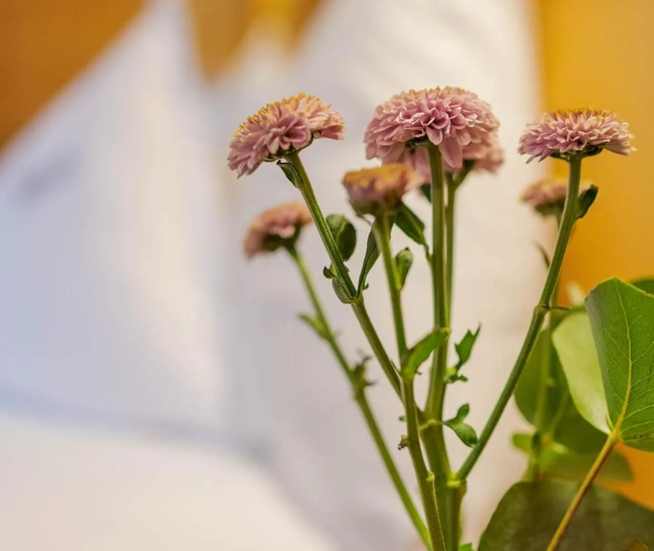 Gradiva Apartments Ischgl