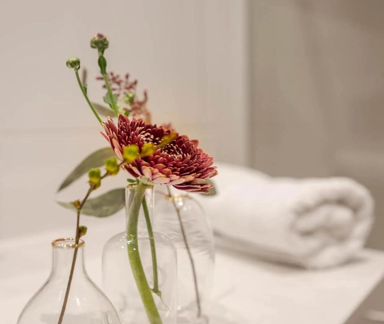 Gradiva Apartments 이스크글
