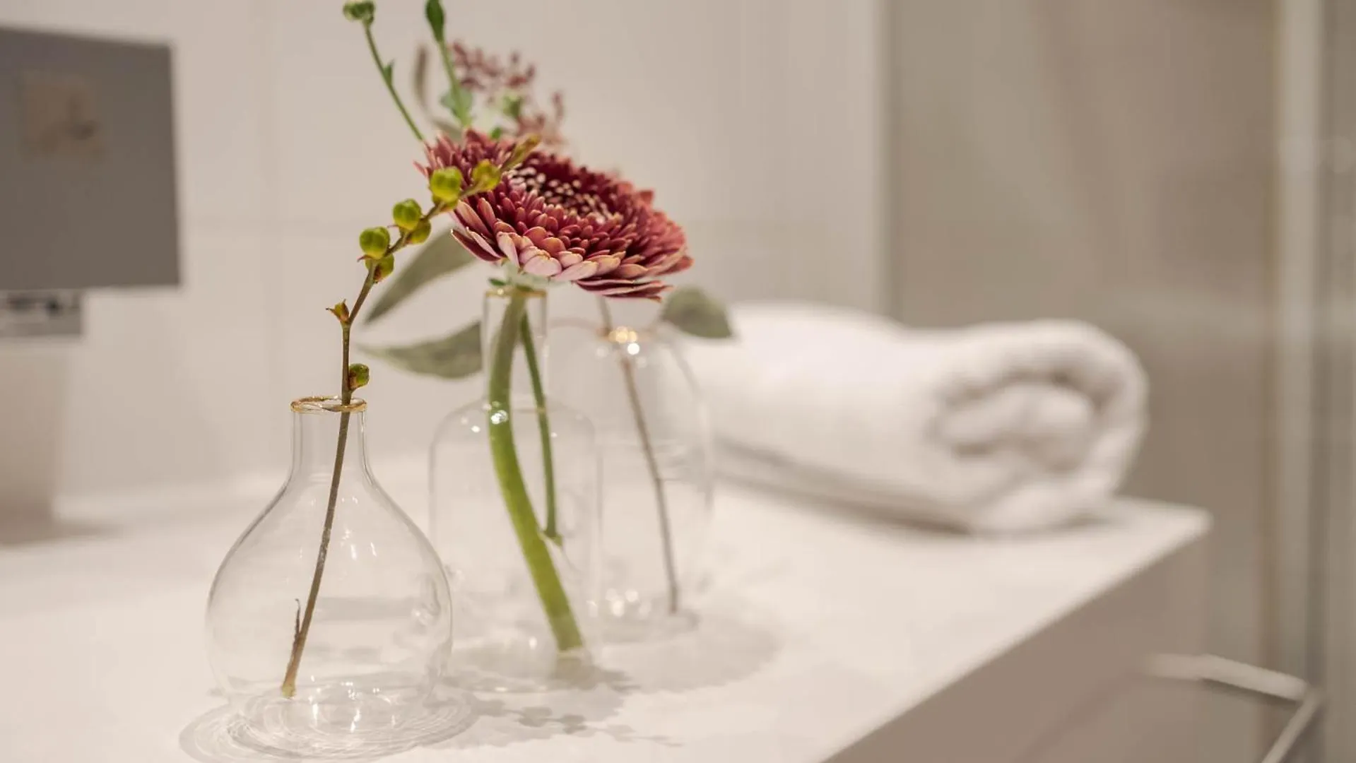 Gradiva Apartments 이스크글